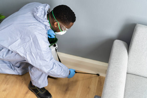 Best Fumigation Services  in Kountze, TX